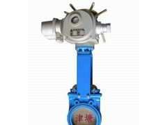 天津市津塘閥門制造供應(yīng)電動刀閘閥